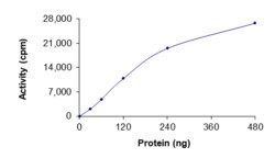Sino Biological&nbsp;Recombinant Human LRRK2 Protein (Y1699G, GST Tag), Active